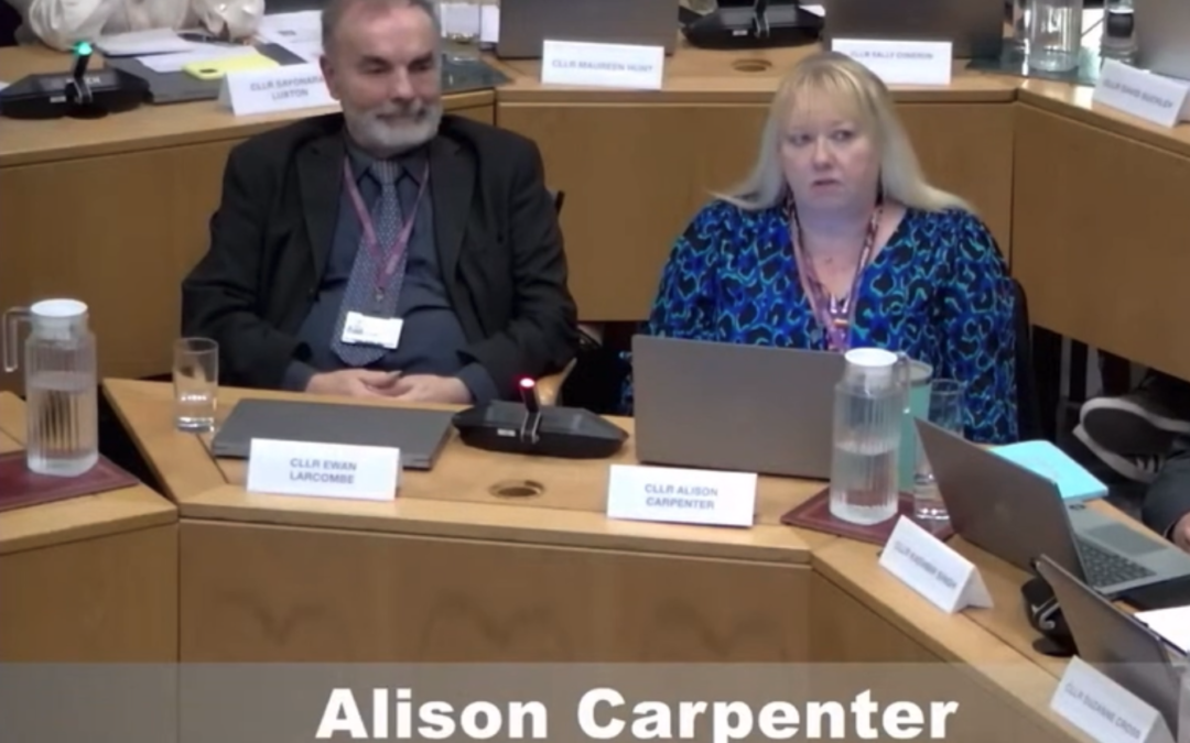 Cllr Alison Carpenter’s Budget Speech